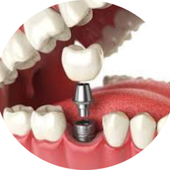 Untitled design (81)