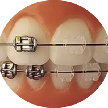 Untitled design (83)