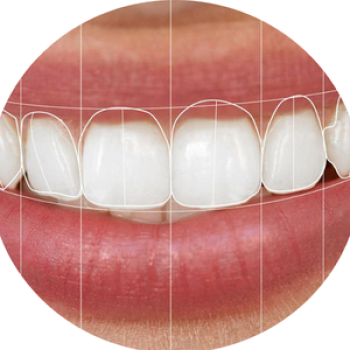 Untitled design (98)